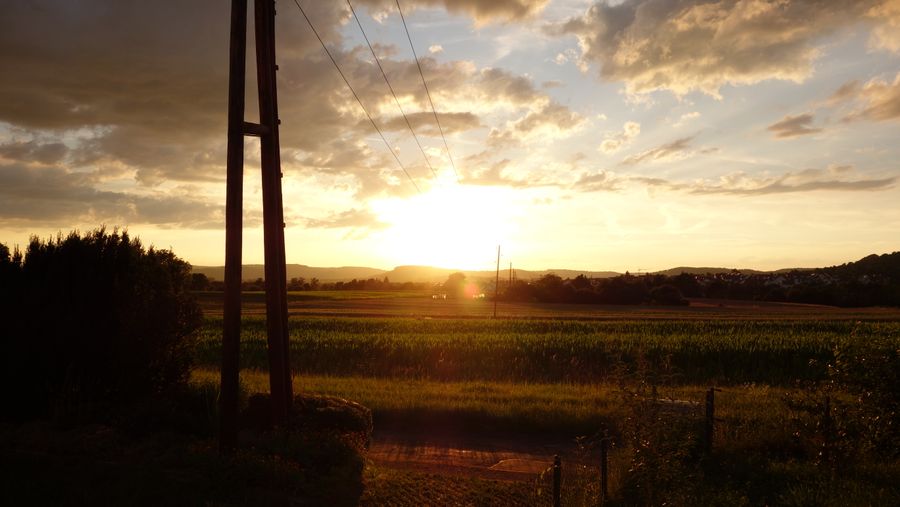 Meadow Ridge plots in Pune